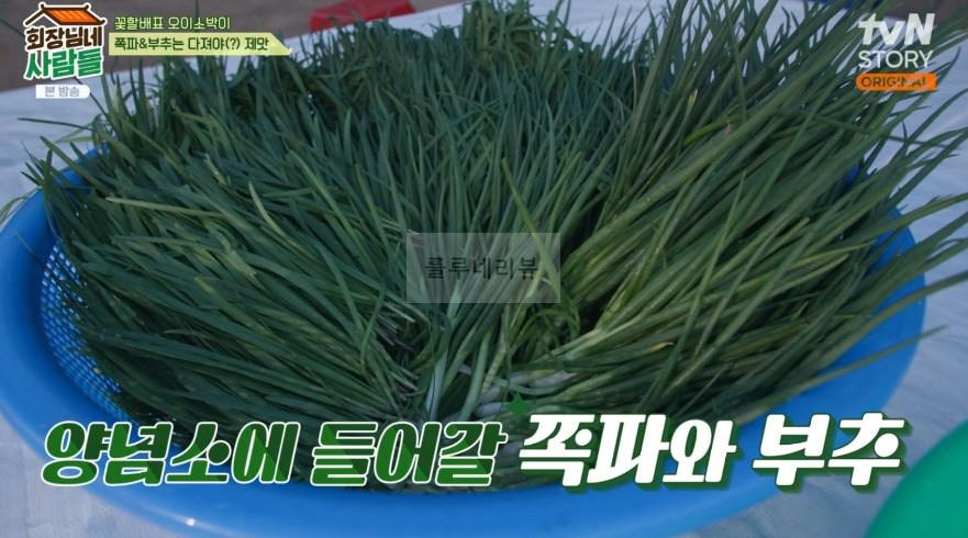 회장님네사람들 오이소박이 만들기 레시피 - 꽃할배표 오이 소박이 6 ywAAAAAAQABAAACAUwAOw==