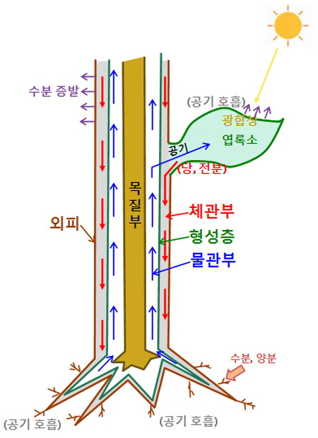 아프락사스 이미지