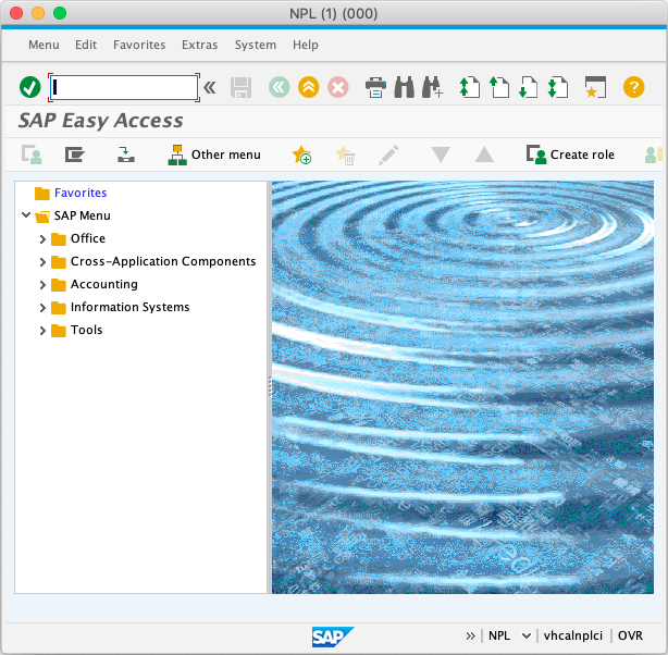 sap gui download mac