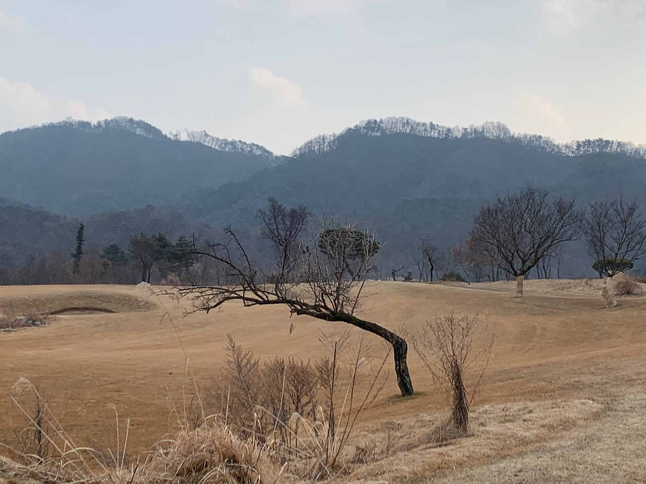 KPGA 2022시즌 개막전이 열리는 라비에벨CC 올드코스 라운드 후기 24 ywAAAAAAQABAAACAUwAOw==