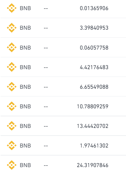 bnb ga 100