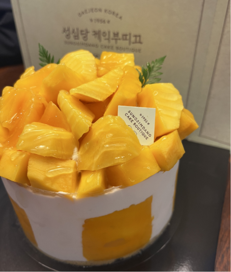 대전 성심당 망고케이크