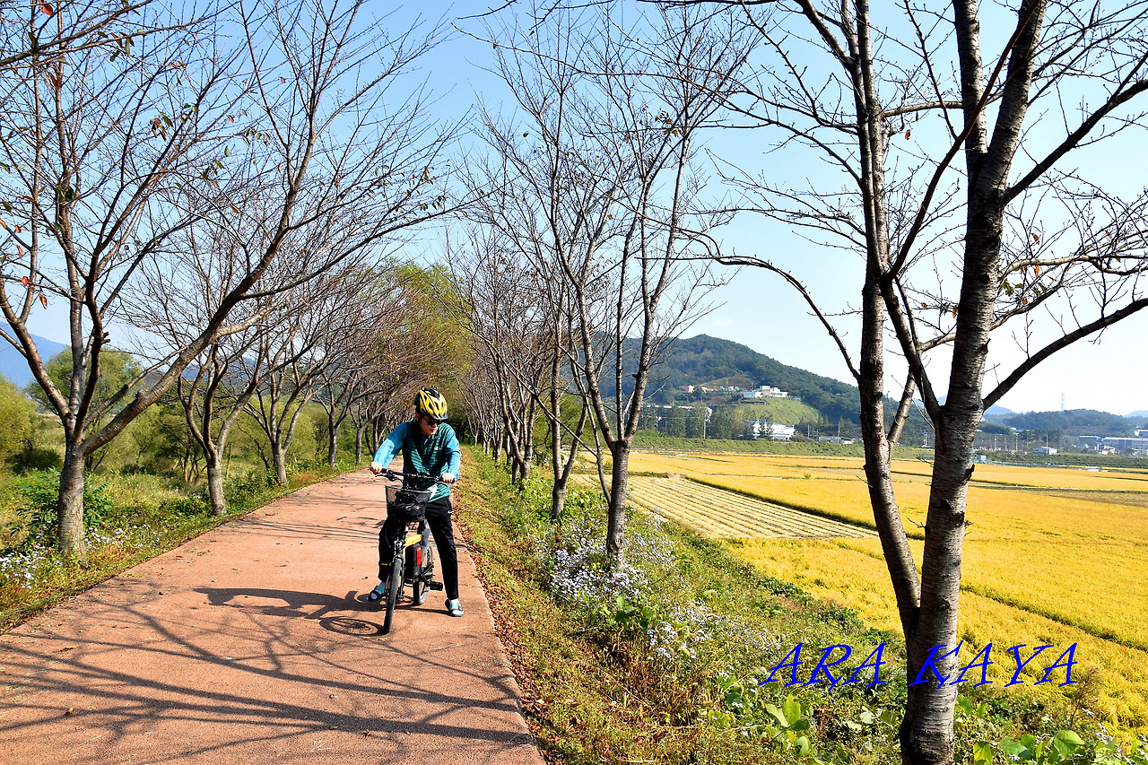 봉하마을 자전거 대여