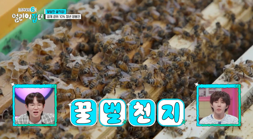 옛날이랑 다른 요즘 매출 4억 나온다는 농업.jpg | 인스티즈