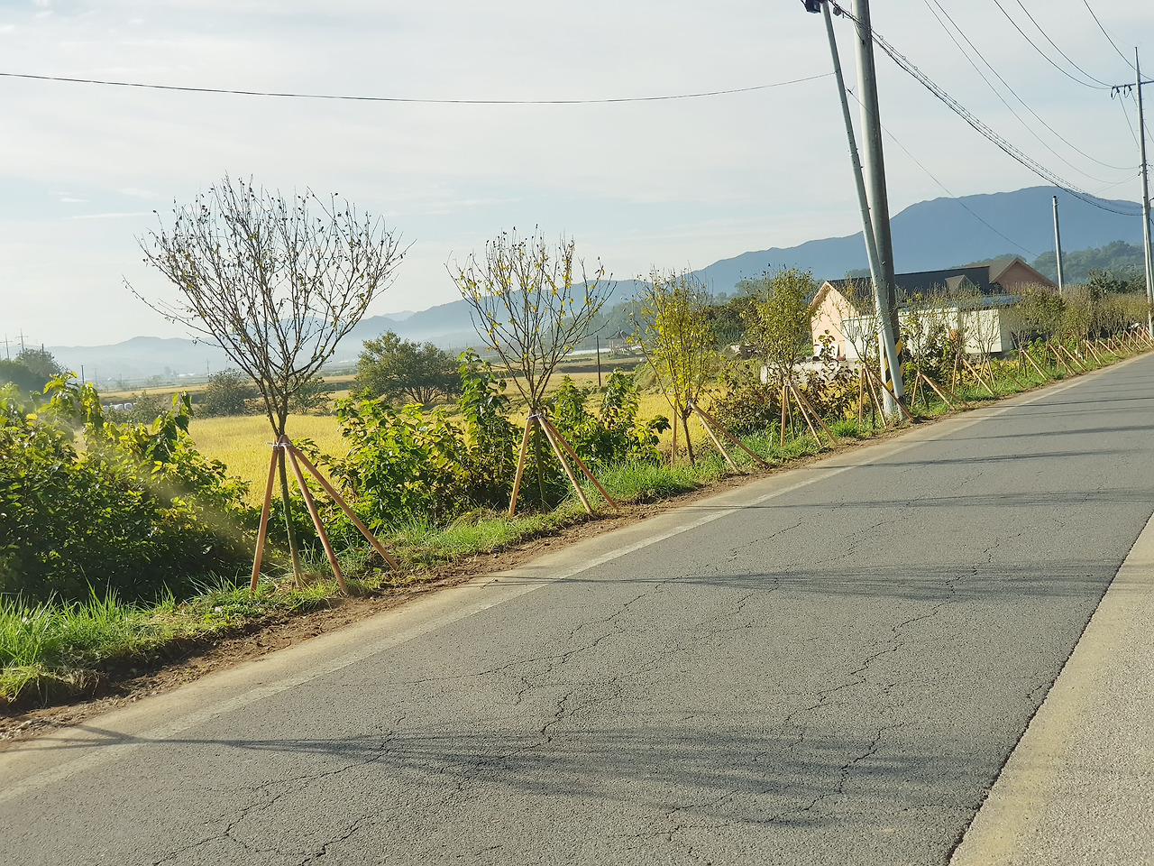 무궁화 호 자전거