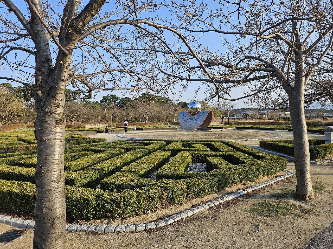강릉 가볼만한 곳 경포호 자전거 대여 코스 가격 후기 10 ywAAAAAAQABAAACAUwAOw==