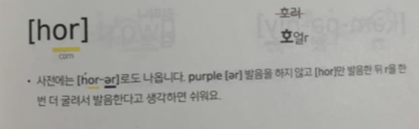 매직트리하우스 6권 매직낭독 5기 하루 두 문장 영어회화 3 ywAAAAAAQABAAACAUwAOw==