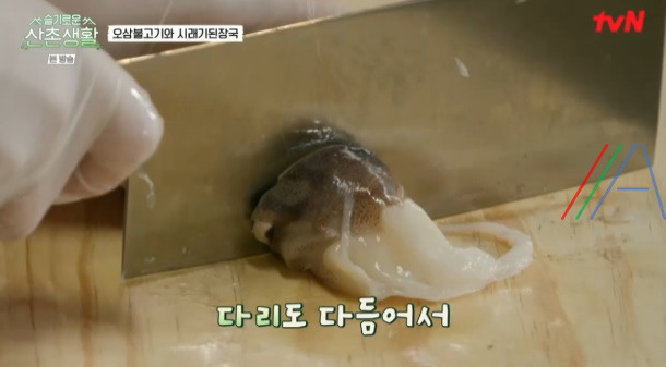 슬기로운산촌생활 오삼불고기 레시피 만드는 법 - 조정석 오징어삼겹살볶음 8 ywAAAAAAQABAAACAUwAOw==