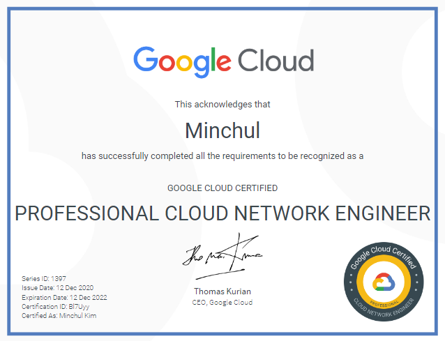 Reliable Professional-Cloud-Network-Engineer Test Price