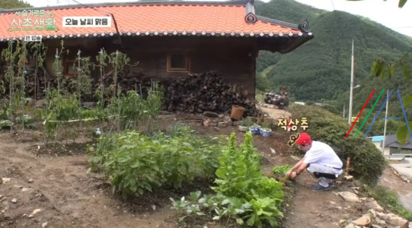 슬기로운산촌생활 상추겉절이 만들기 레시피 2 ywAAAAAAQABAAACAUwAOw==