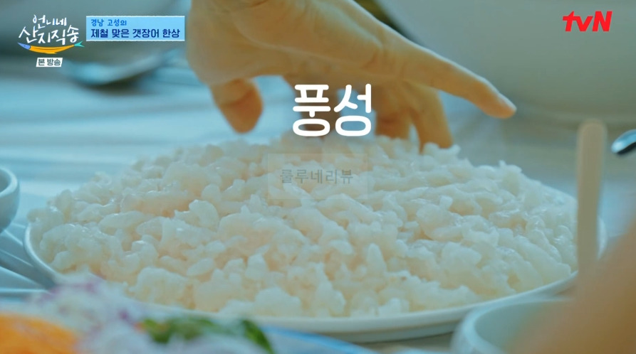 언니네 산지직송 고성 갯장어 한상, 갯장어회 갯장어구이 장어탕 항구 식당 위치 - 하모회 하모구이 샤브샤브 2 ywAAAAAAQABAAACAUwAOw==