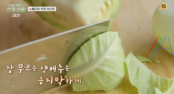 슬기로운 산촌생활 자장면 짜장면 레시피 만드는 법 - 클리어 반점 정선점 5 ywAAAAAAQABAAACAUwAOw==