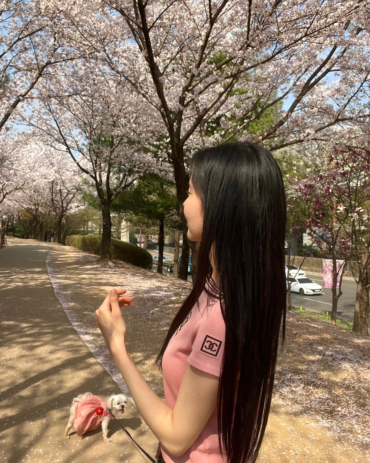 ?scode=mtistory2&fname=https%3A%2F%2Fblo