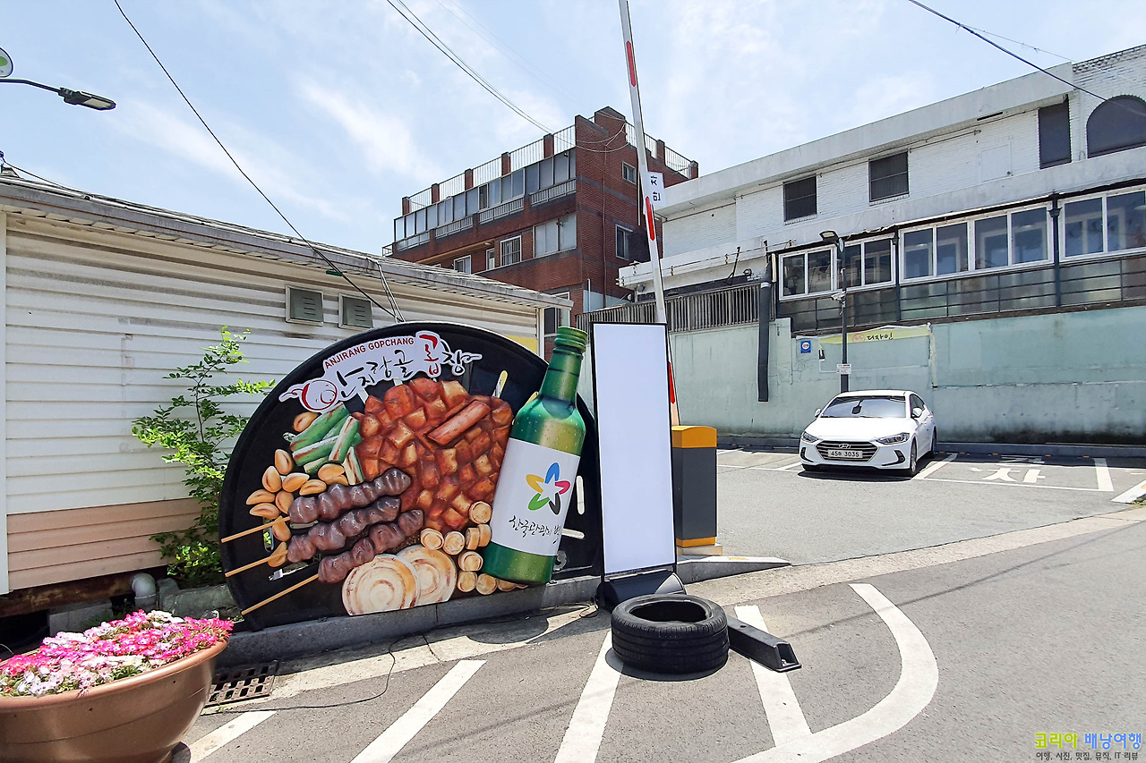 코리아배낭여행 :: 대구 곱창 맛집 안지곱창막창 안지랑곱창 골목 거리