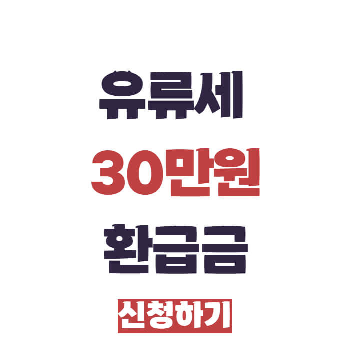 경차 유류세 환급카드 발급 30만원 지원금