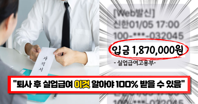 “받을 수 있는데 모르는 사람이 많다고” 자발적 퇴사여도 신청 가능한 실업급여 수급조건 12가지