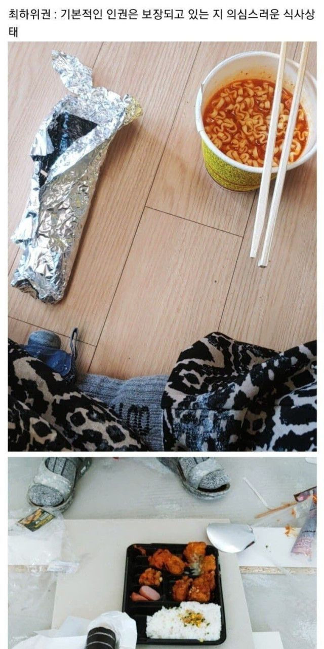 회사 점심 티어