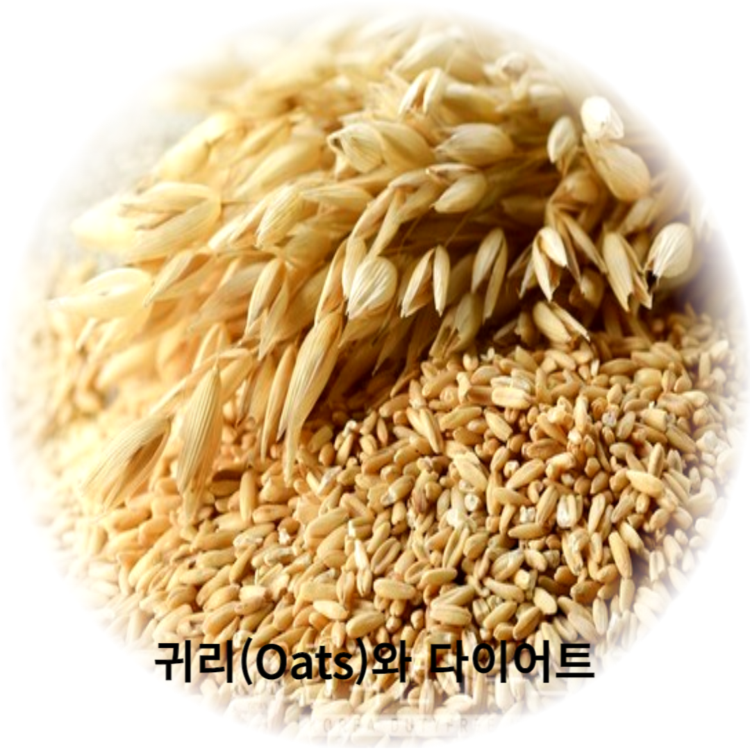 건강과 다이어트를 한 번에, 귀리 다이어트와 먹는 법