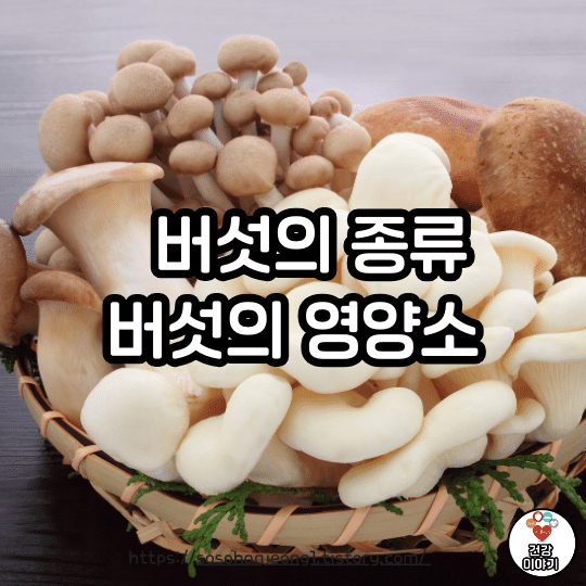 버섯의 종류와 영양소