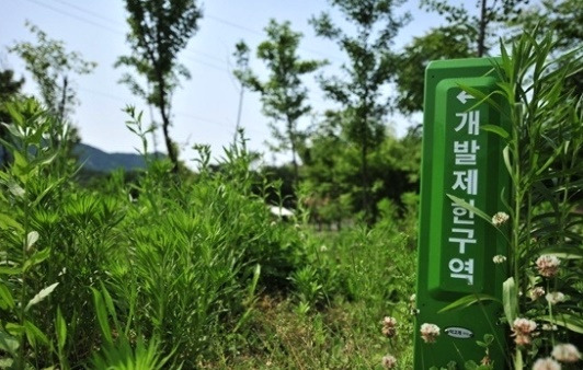 강원도 평창군 1필지에 '땅주인' 만 1만2000명.. "기획부동산에 속아" 2 ywAAAAAAQABAAACAUwAOw==