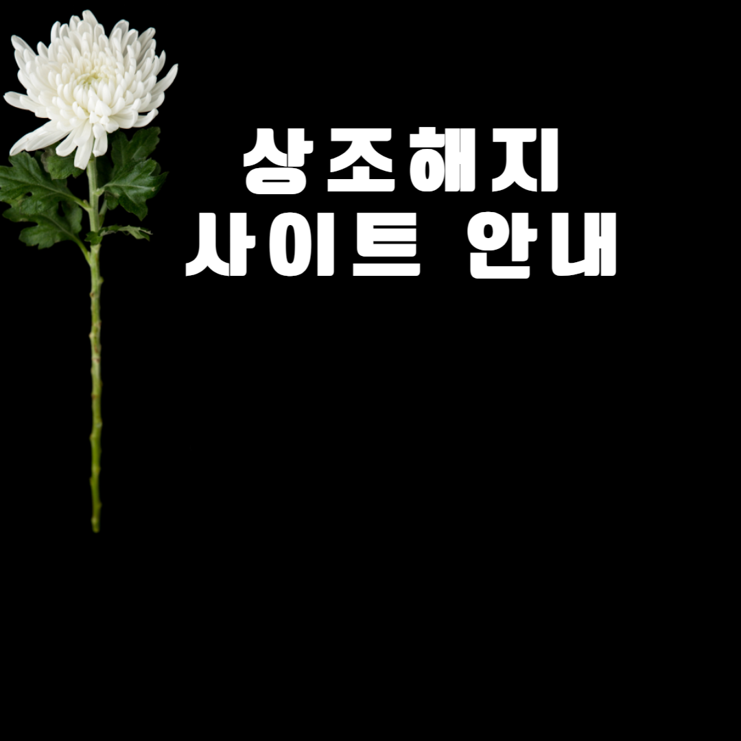 아로스 팝업