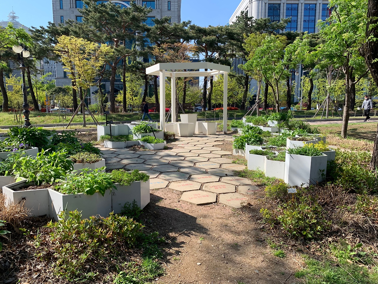 세종 가족 자전거 대여