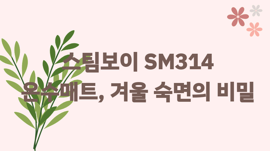 스팀보이 SM314 온수매트, 겨울 숙면의 비밀