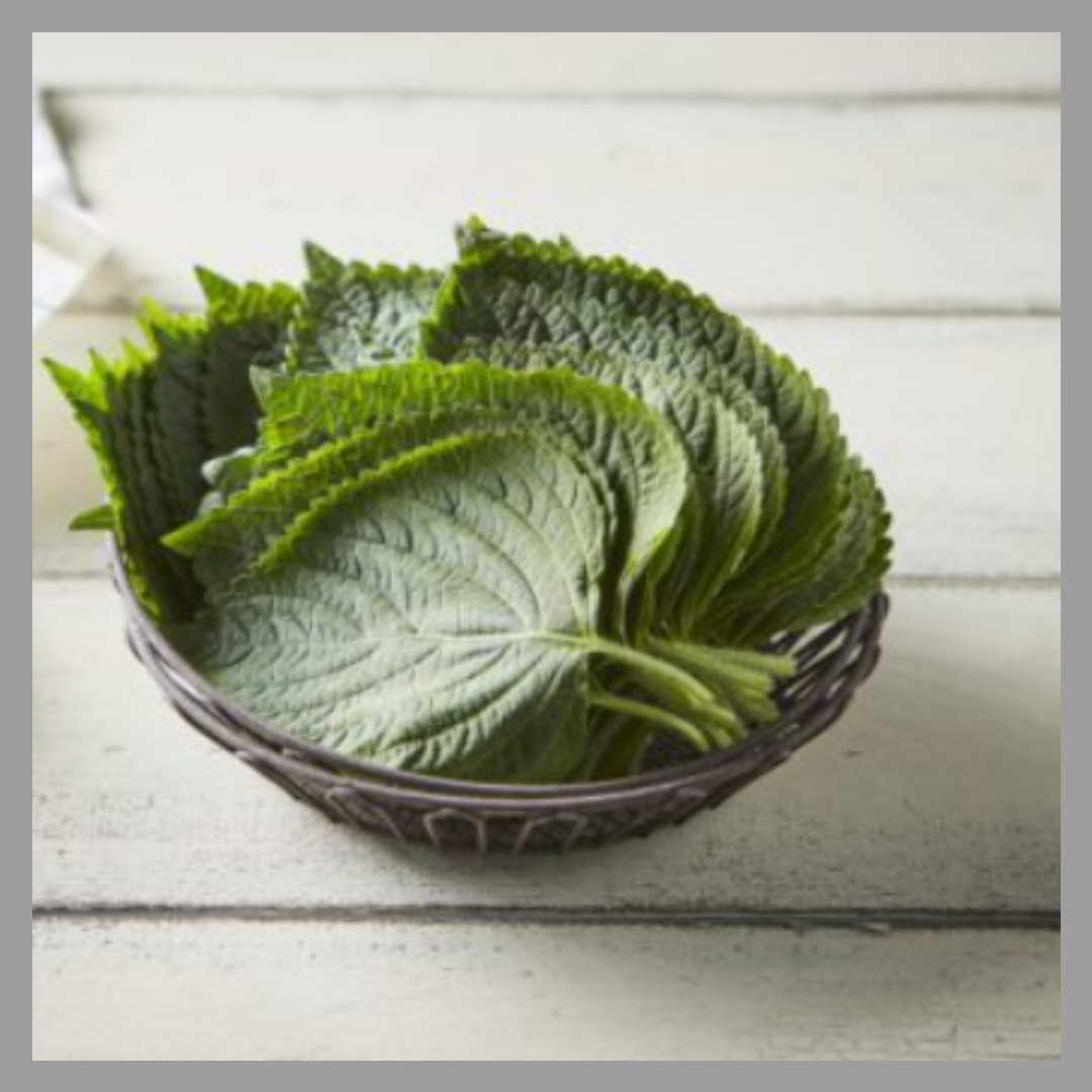 깻잎 효능과 부작용 알고 먹자