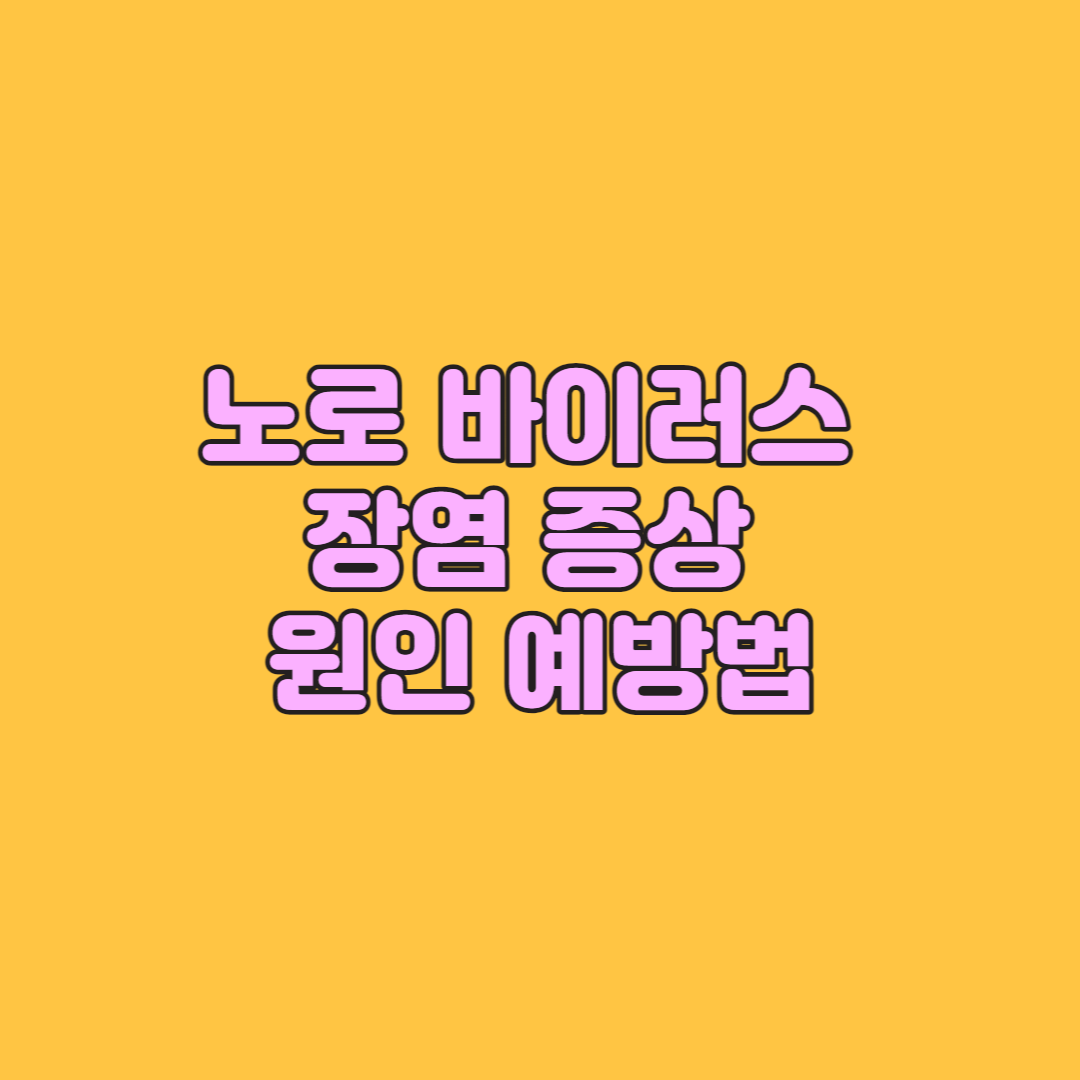 노로 바이러스 장염 증상 원인과 예방법