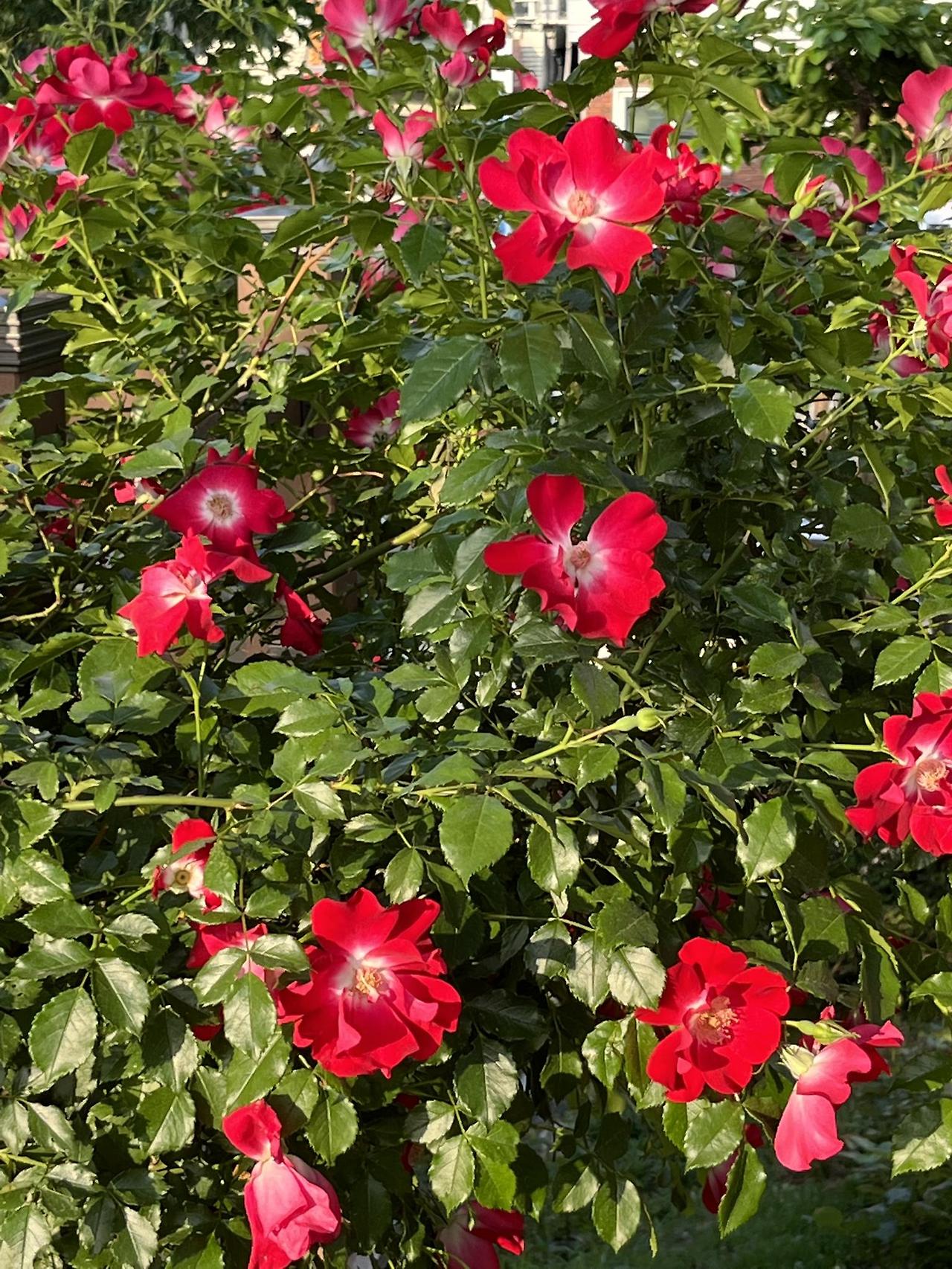 ?scode=mtistory2&fname=https%3A%2F%2Fblo