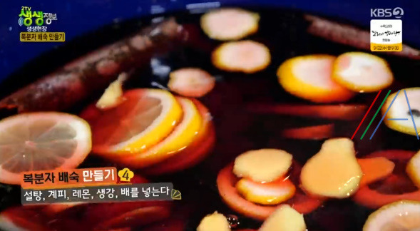 생생정보 복분자 배숙 만들기 레시피 만드는 법 8 ywAAAAAAQABAAACAUwAOw==