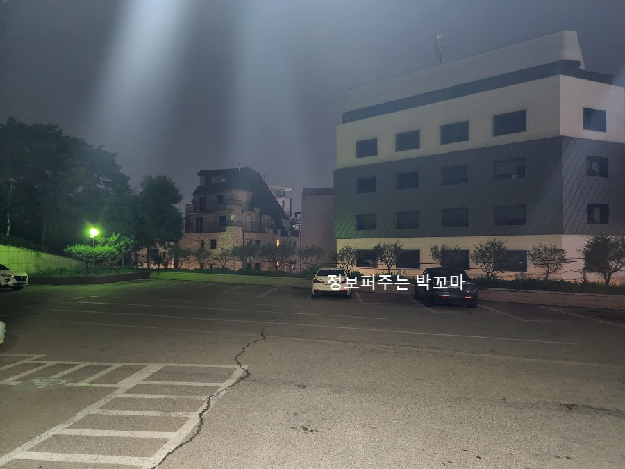 트랙맨으로 샷 점검 및 골프레슨이 가능한 더 프라자 골프 신사점 이용후기 15 ywAAAAAAQABAAACAUwAOw==