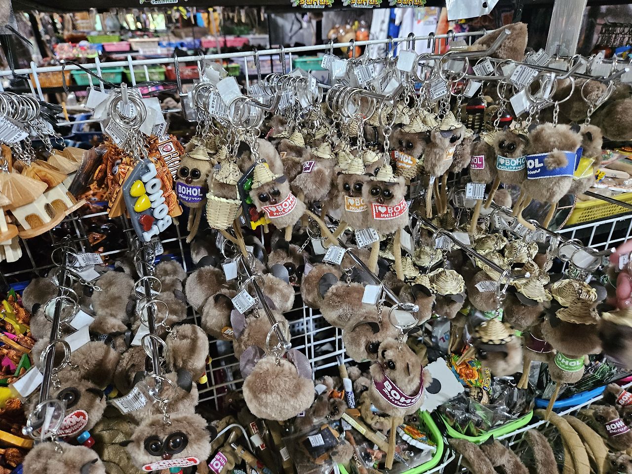 필리핀 보홀 육상투어 나비공원, 안경원숭이, 초코렛힐 직접 구한 현지가격 후기 24 ywAAAAAAQABAAACAUwAOw==