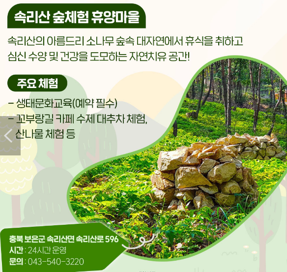 가족여행 필수! 취향대로 골라가는 체험휴양마을 5곳 추천 10 ywAAAAAAQABAAACAUwAOw==