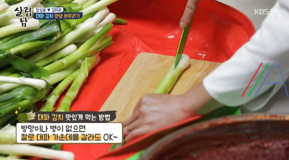 살림남 마약 김치 양념장, 총각무 김치 & 대파 김치 담그기 만들기 만드는 법 레시피, 정성윤 임성근 김장 김치 담그는법 만들기 레시피 - 2시간 김장김치 + 비법 양념장 20 ywAAAAAAQABAAACAUwAOw==