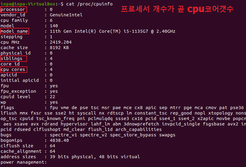 cat cpuinfo linux