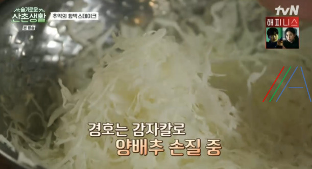 슬기로운 산촌생활 옛날 샐러드 만드는 법 레시피 - 김대명 추억의 함박스테이크 사이드 3 ywAAAAAAQABAAACAUwAOw==