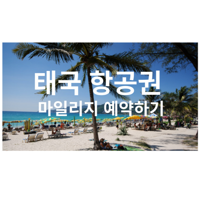타이항공 차일드밀 기내식 선택 방법 및 좌석지정 (마일리지로 방콕 가기)