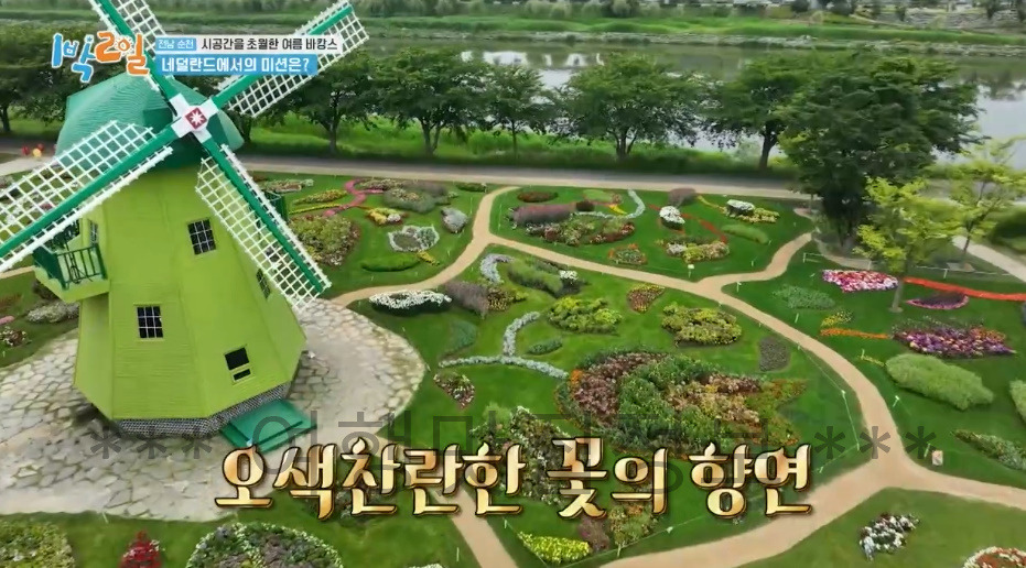 1박2일 전남 순천 시공간을 초월한 여름 바캉스 촬영지 정보 - 183회 1 ywAAAAAAQABAAACAUwAOw==