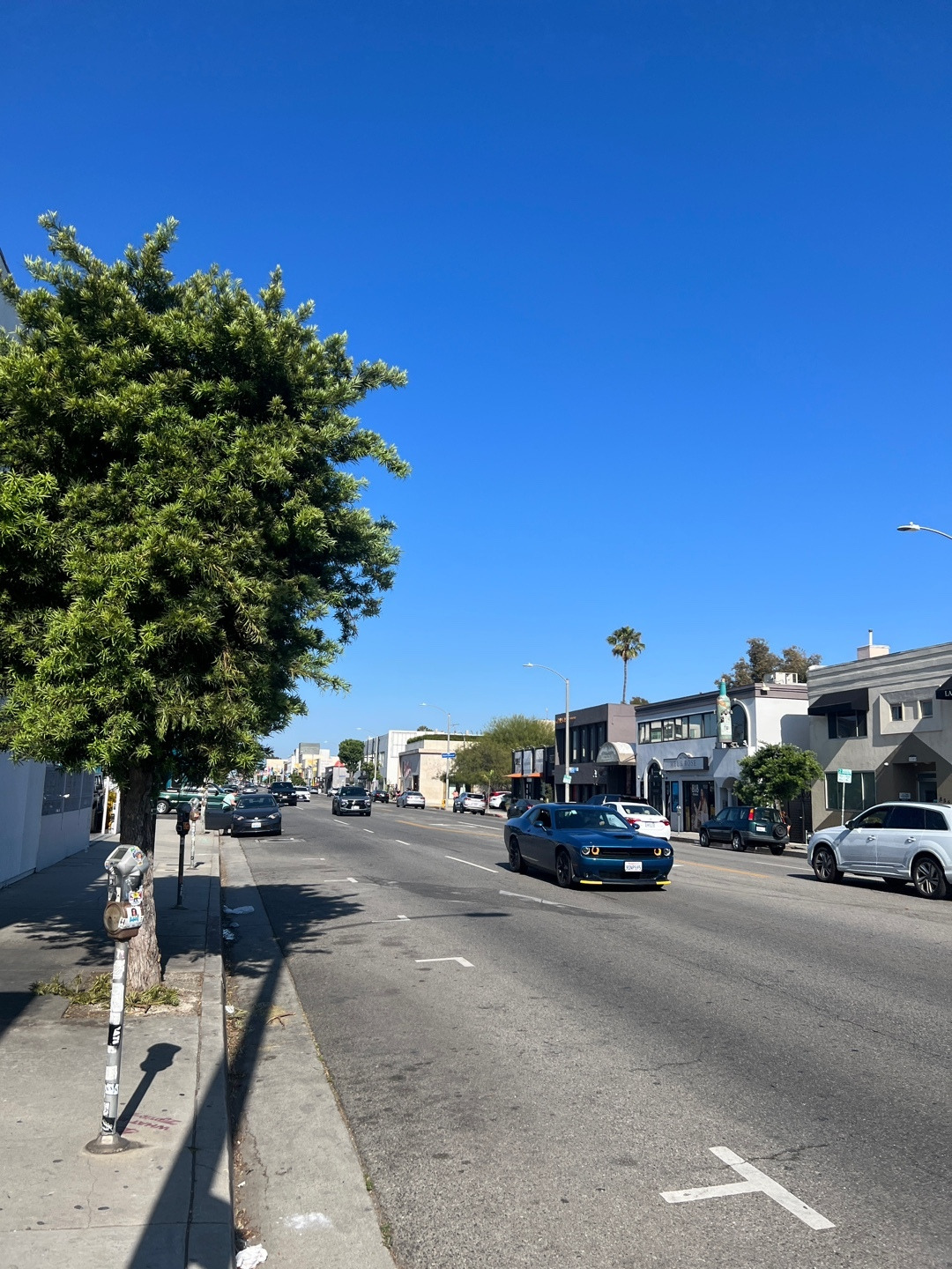 LA 렌트카 허츠(Hertz) 추천 이유 및 주차, 주유, 운전 팁