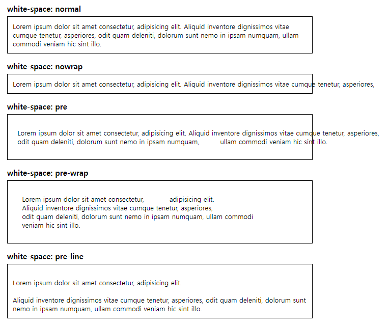 whitespace으로 공백 처리하는 방법 알아보기