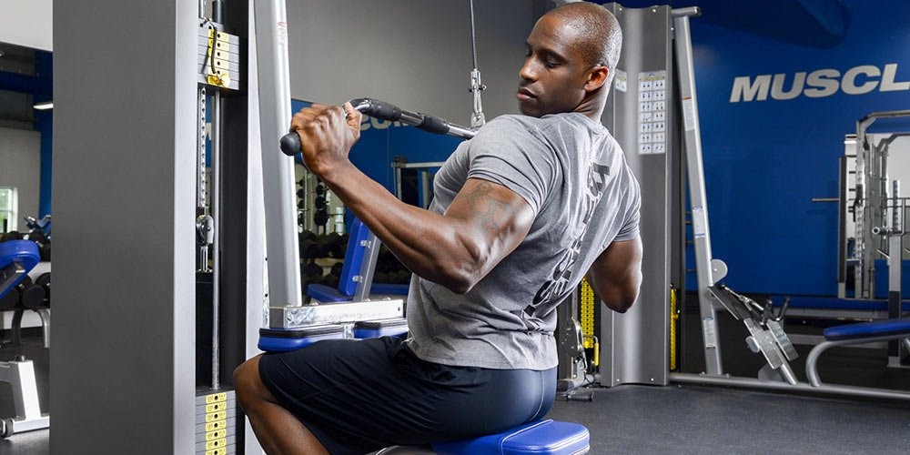 Power Hypertrophy Upper Lower (P.H.U.L.) Workout NetGate