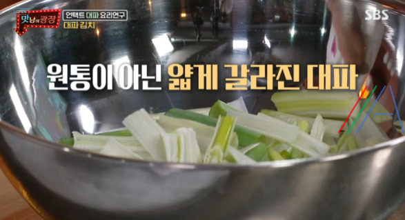 맛남의광장 백종원 대파 김치 만들기 만드는 법 레시피 (쪽파 김치 같은 레시피) 6 ywAAAAAAQABAAACAUwAOw==