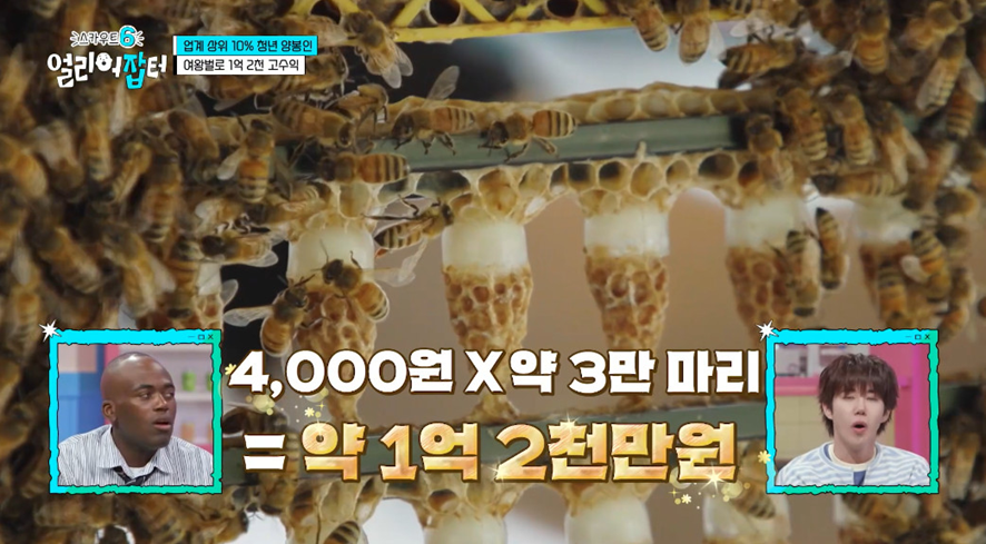 옛날이랑 다른 요즘 매출 4억 나온다는 농업.jpg | 인스티즈