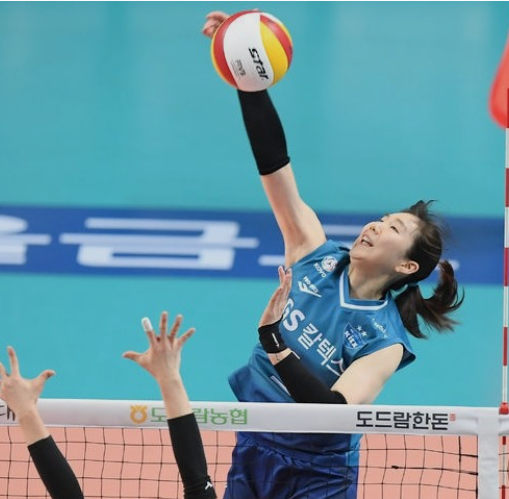 여자배구 중계일정 : 여자배구 월드그랑프리, 2018 FIVB 발리볼네이션스리그 여자대회 ... : 여자배구 신생팀 페퍼저축은행, 연고지 '광주'로 최종 확정.
