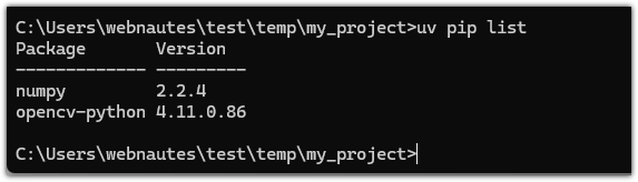 Python uv 사용방법