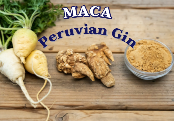 페루의 인삼 : 마카 1 MACA