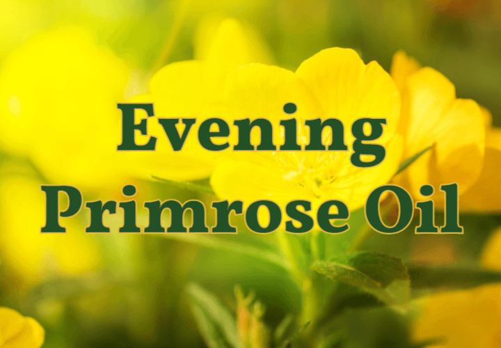 월경전 증후군에 도움이 되는 달맞이꽃 오일 1 Evening Primrose Oil