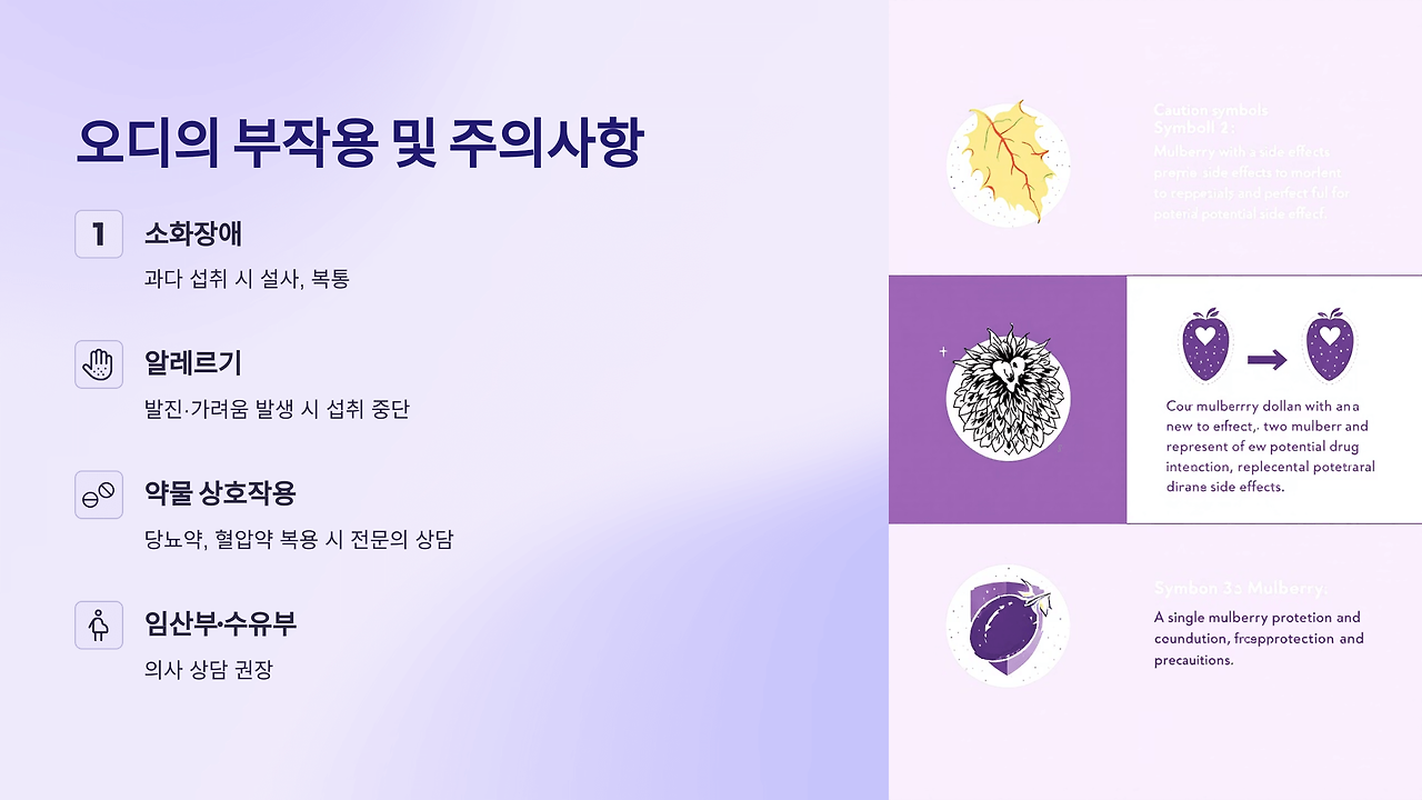 오디 효능 부작용 총정리