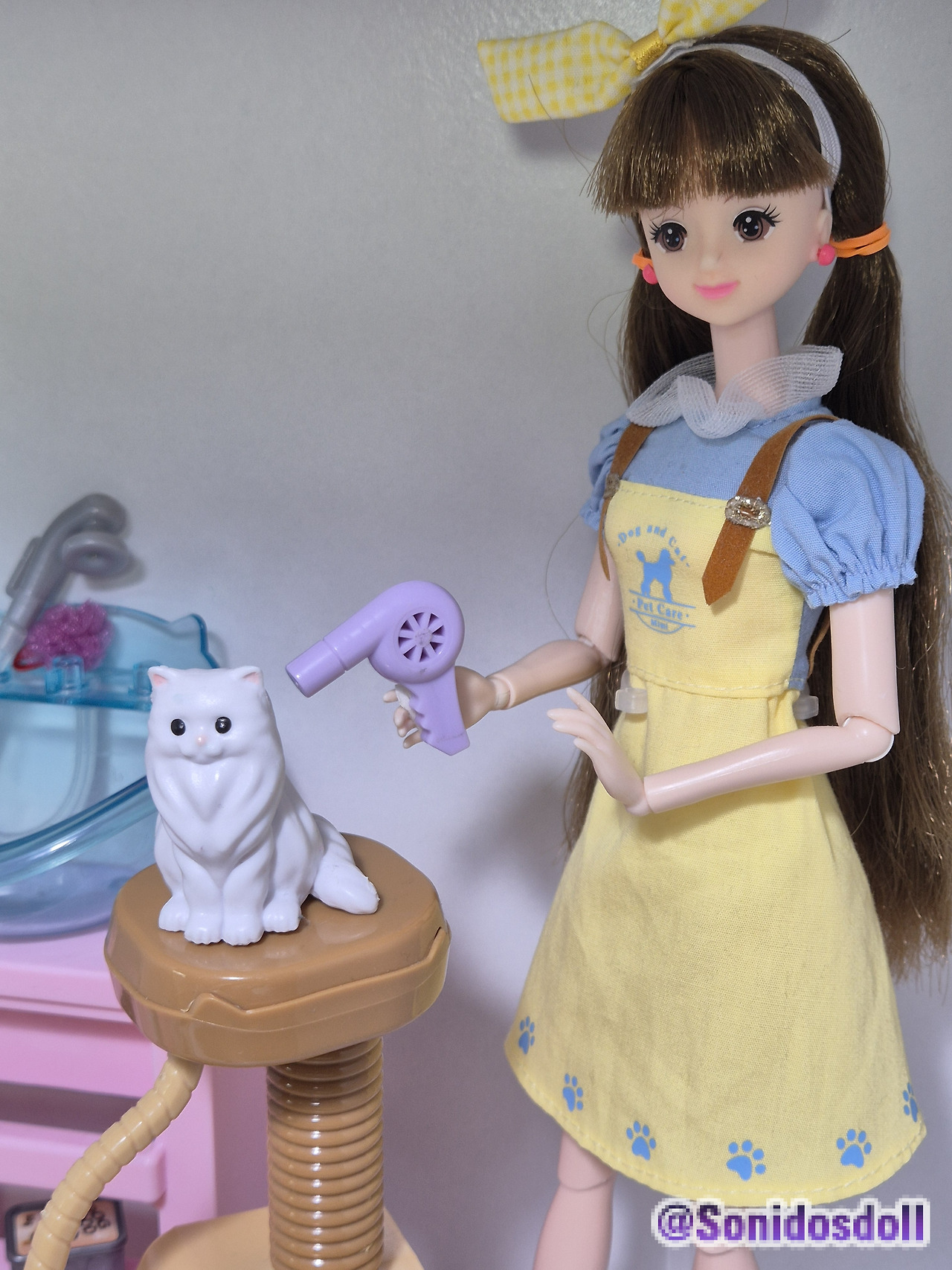 제 고양이를 돌봐주시겠어요?Would you take care of my cat,¿Puede atender a mi gato?